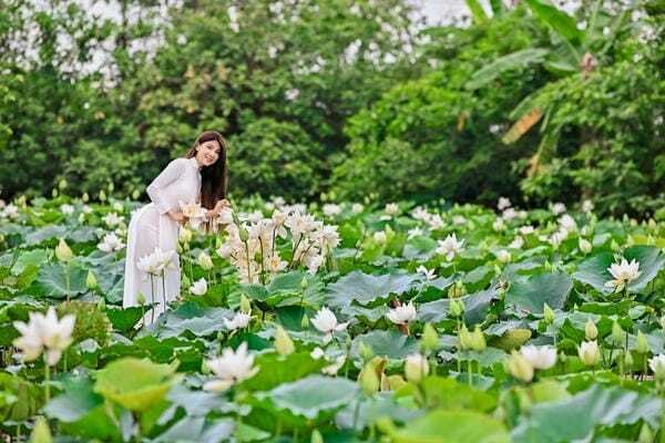 tải ảnh gái xinh việt nam 16