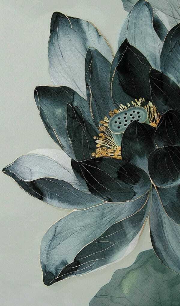 ảnh bông sen đen 2