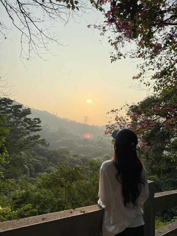 ảnh chụp sau lưng 1