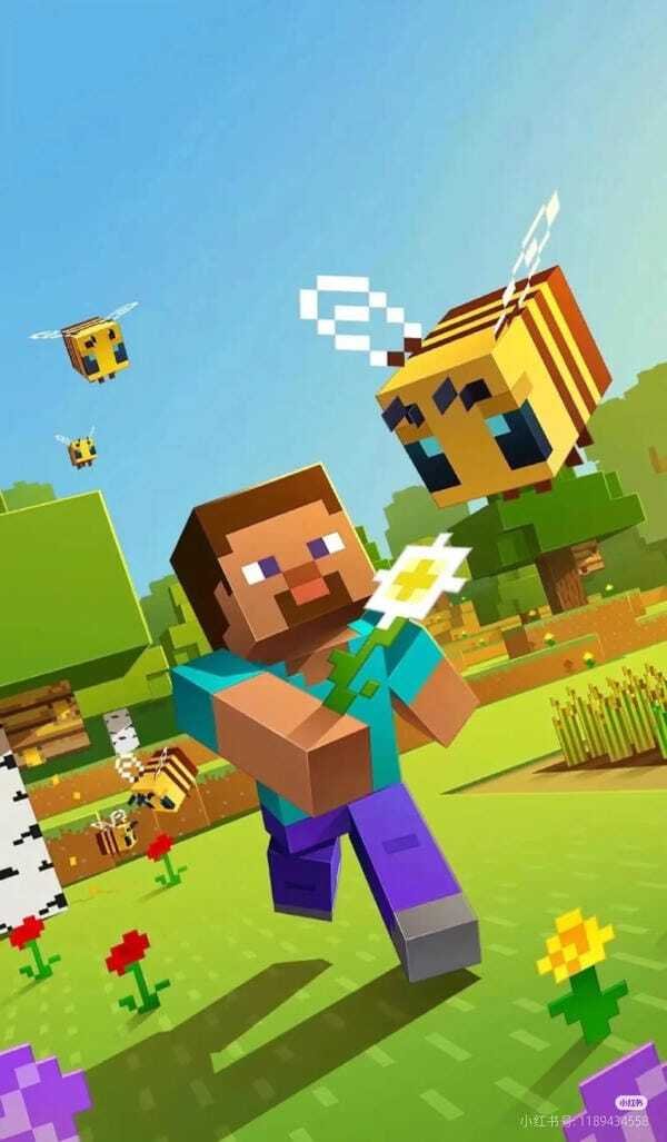 ảnh minecraft 11