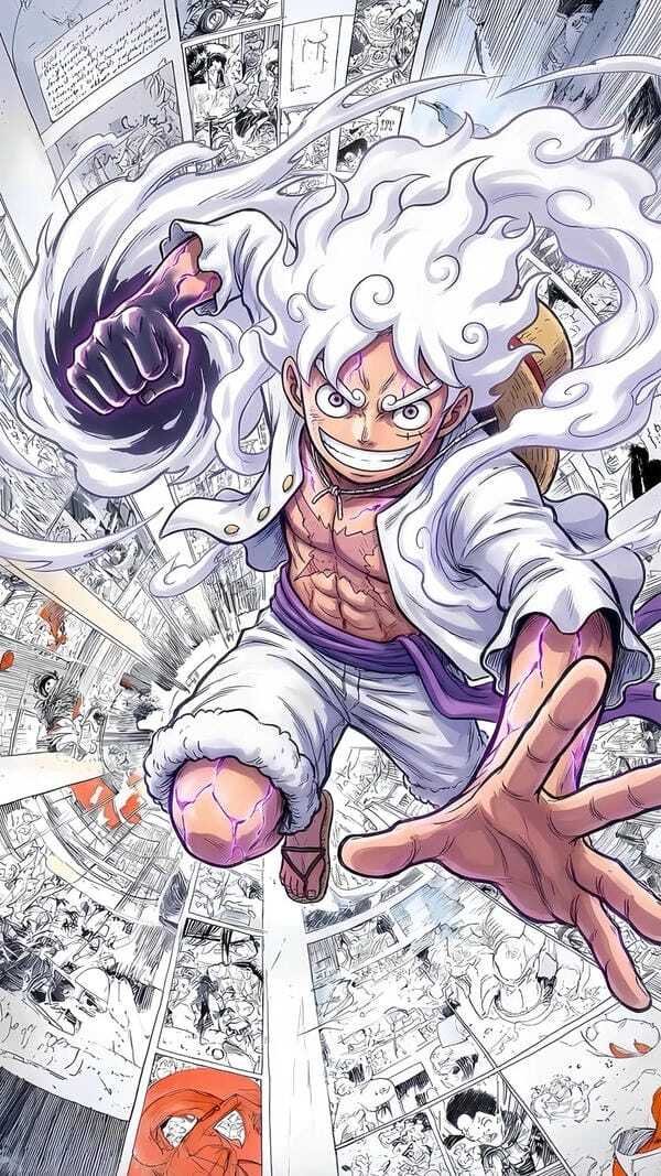 ảnh one piece 24
