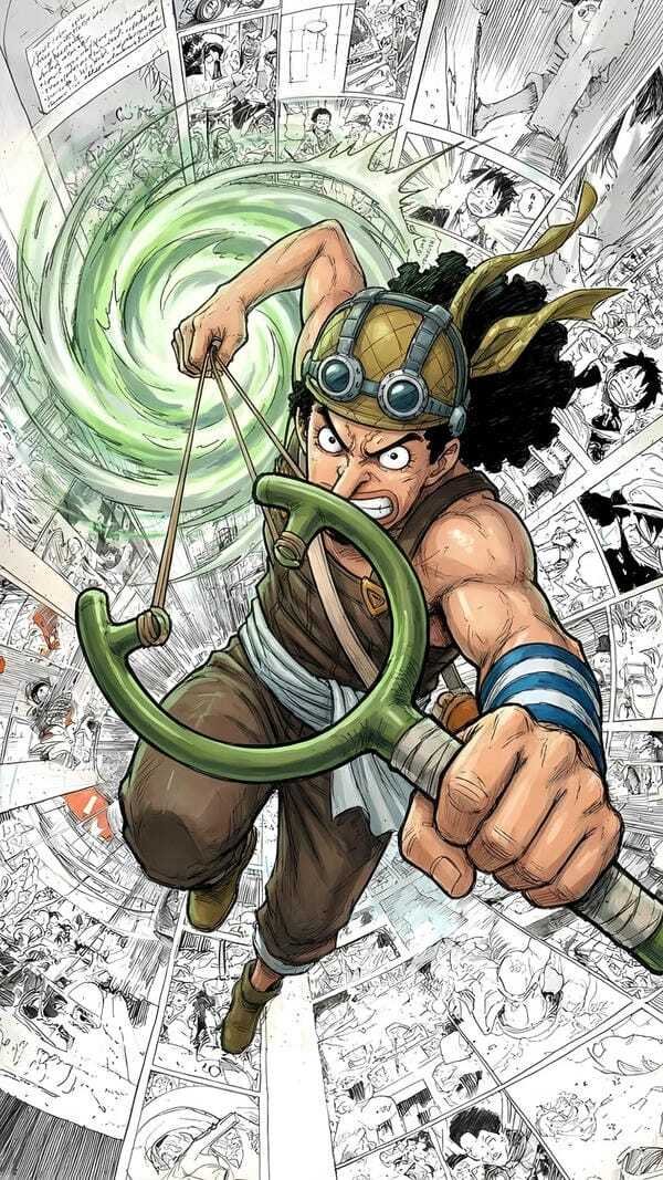 ảnh one piece 28
