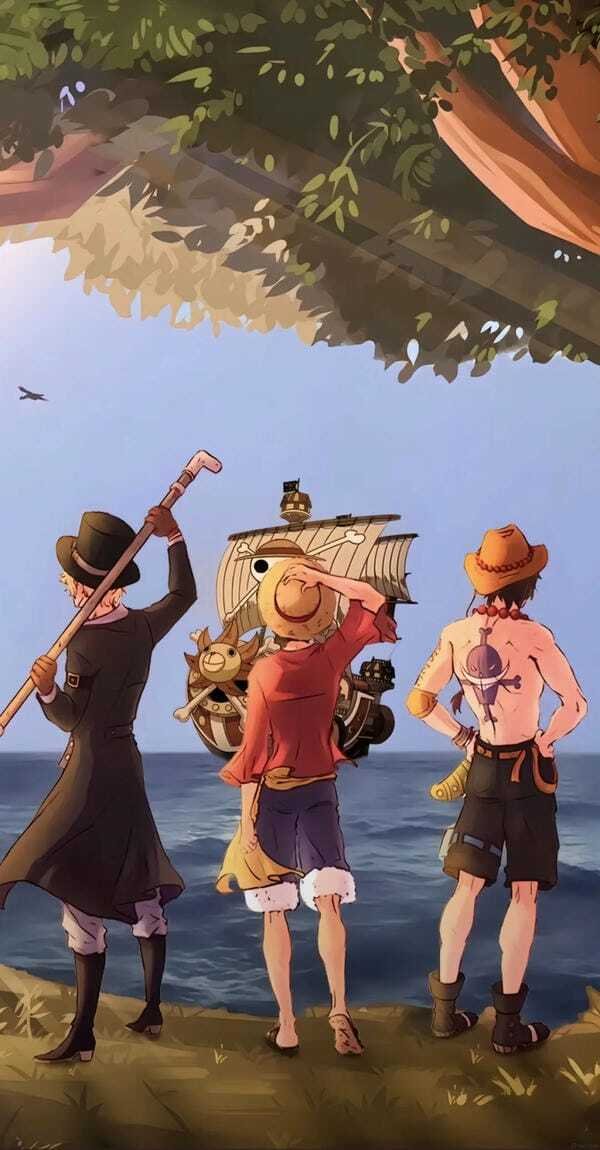 ảnh one piece 37