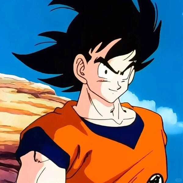ảnh songoku 1