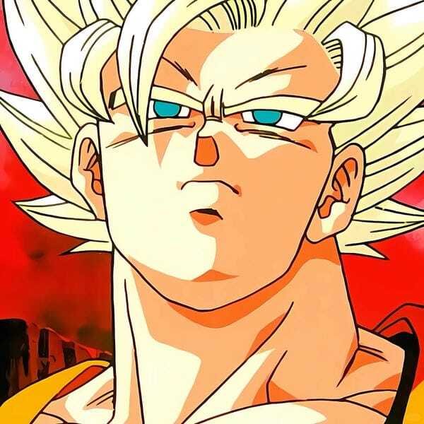 ảnh songoku 16