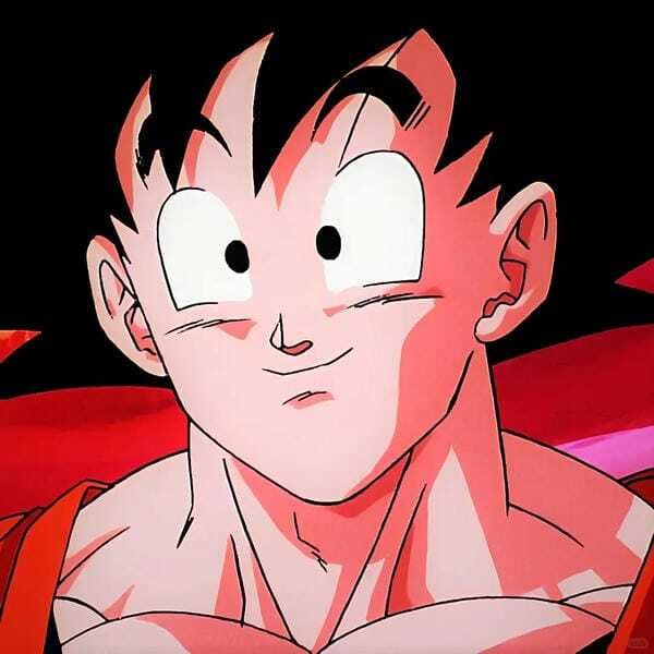ảnh songoku 17