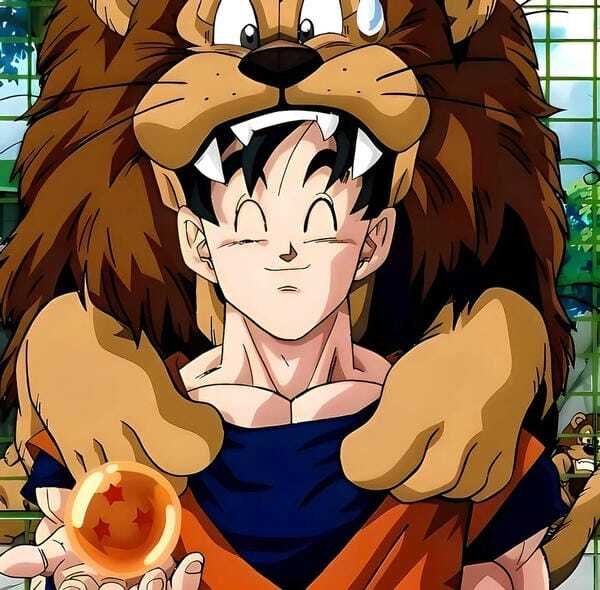ảnh songoku 18
