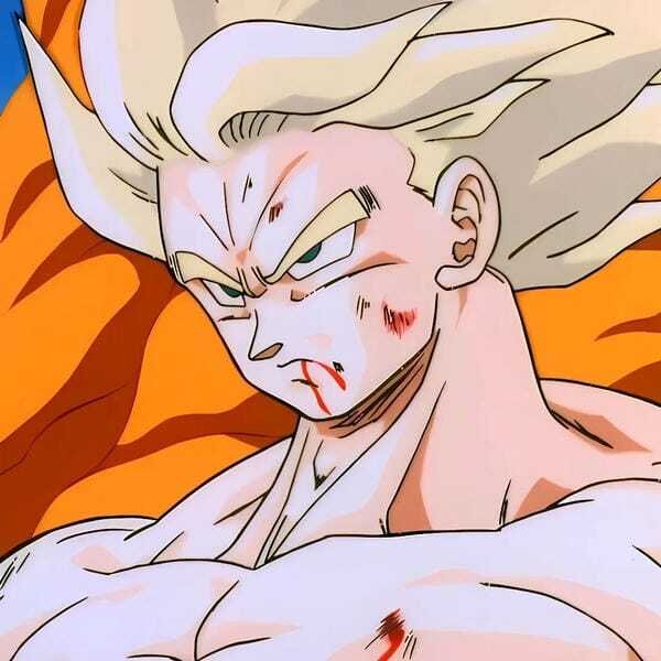 ảnh songoku 19