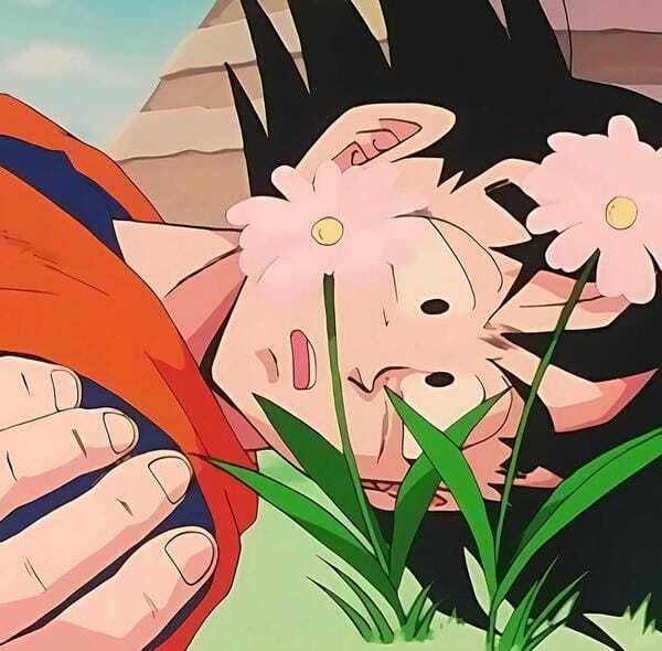 ảnh songoku 20