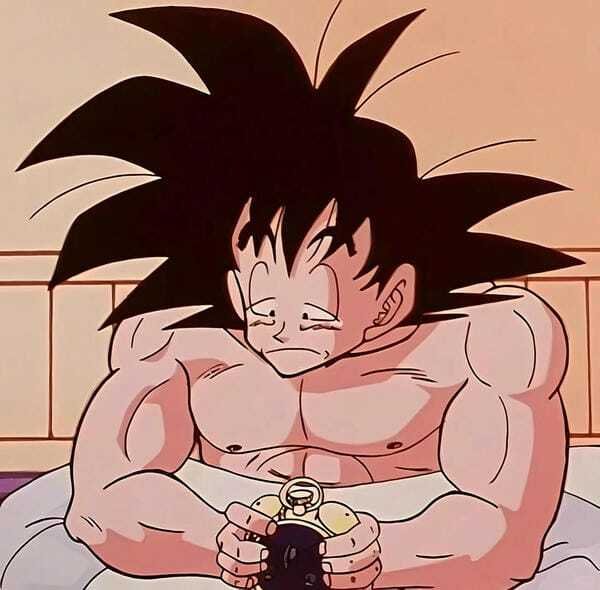 ảnh songoku 22