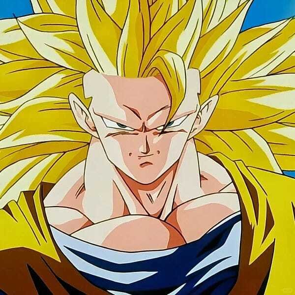 ảnh songoku 23