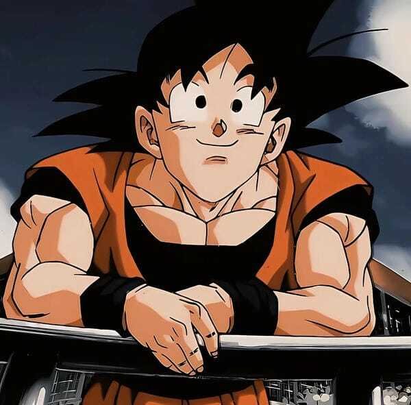 ảnh songoku 24