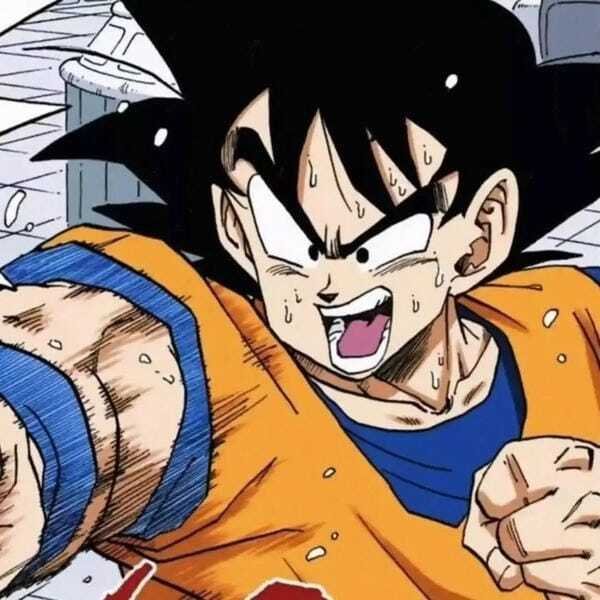 ảnh songoku 5