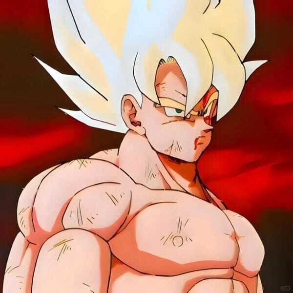 ảnh songoku 9