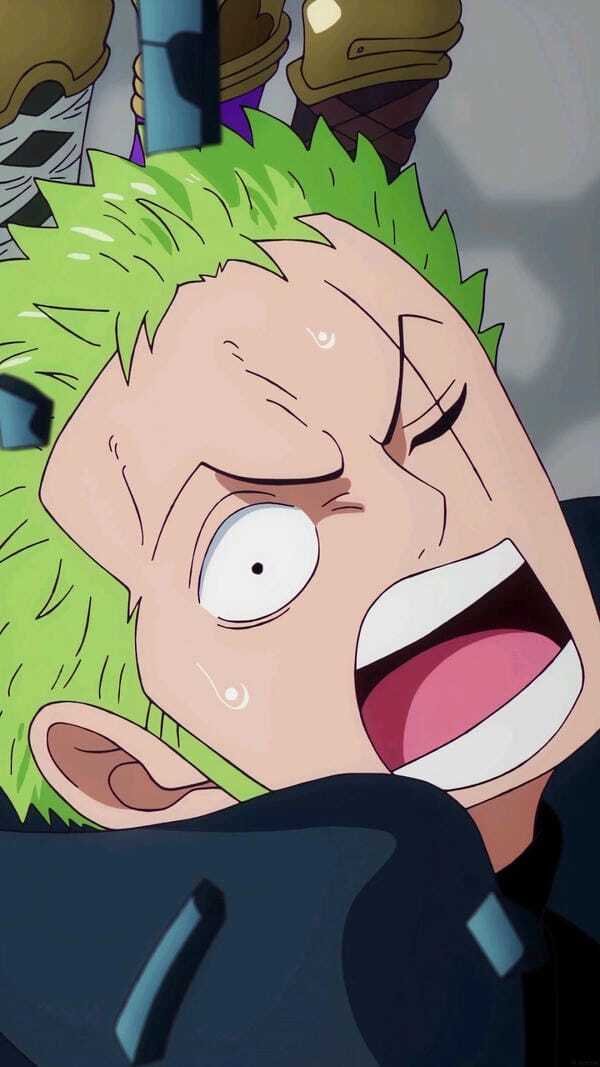 ảnh zoro 2