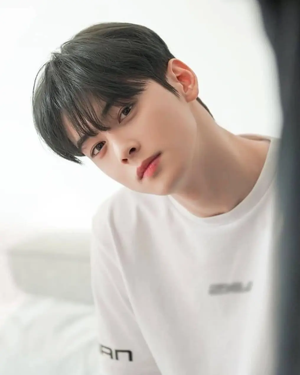 Cha Eun-woo - một trong những nam thần đẹp trai