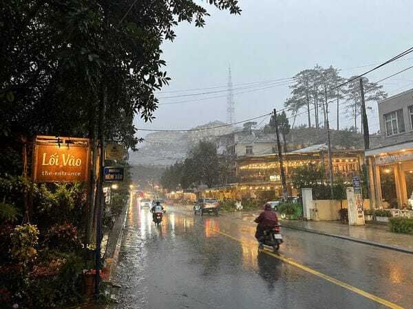 hình ảnh đà lạt 26