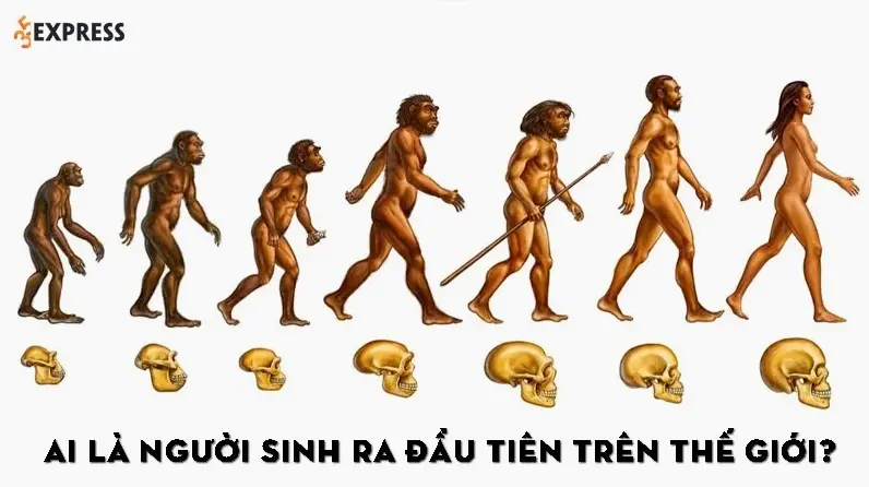 Hình ảnh minh họa về nguồn gốc loài người