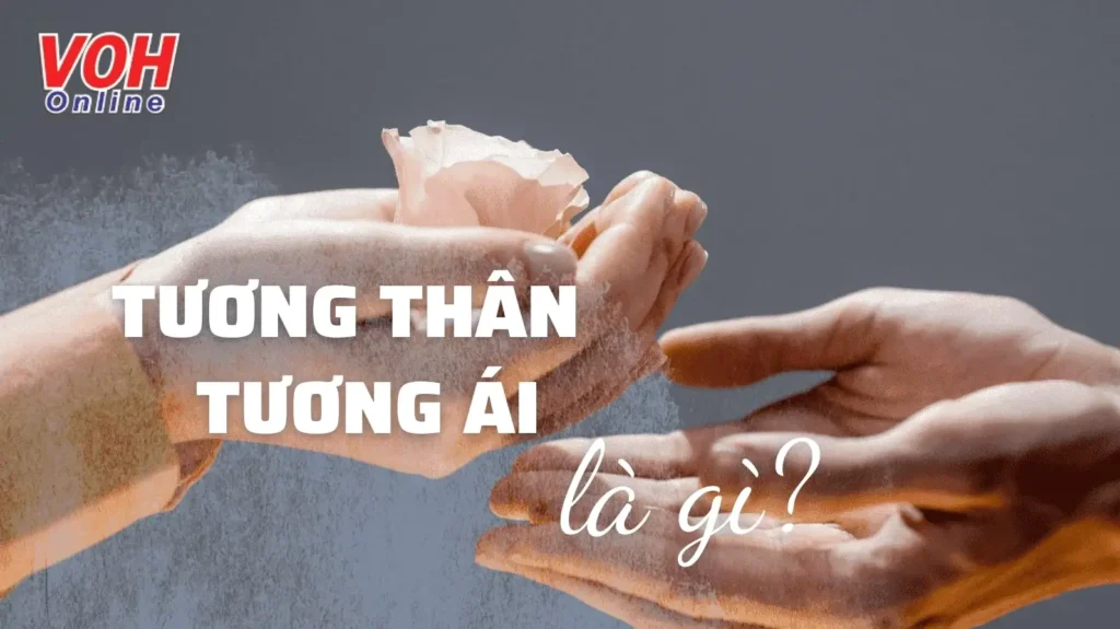 Tương Thân Tương Ái Là Gì? Ý Nghĩa Sâu Sắc Trong Đời Sống Hiện Đại - Hình ảnh bài viết