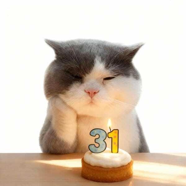 ảnh sinh nhật chế hài 5