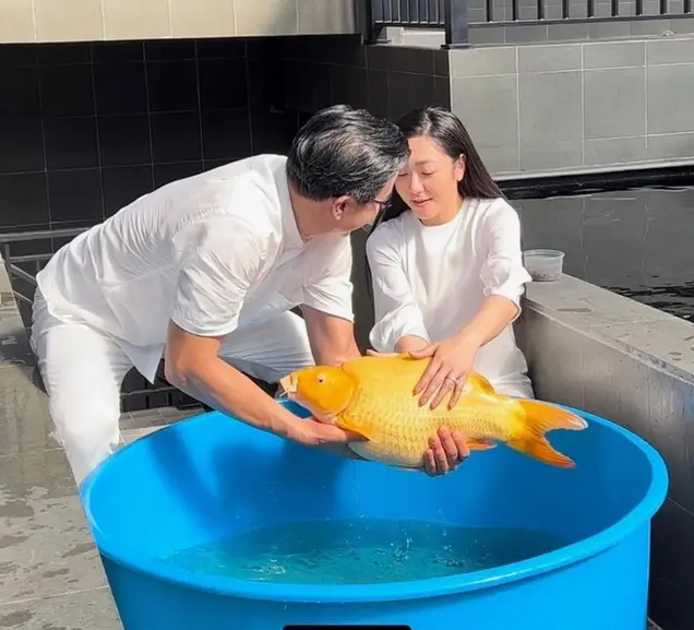 Hồ cá Koi được thiết kế tinh tế, hài hòa với không gian sống