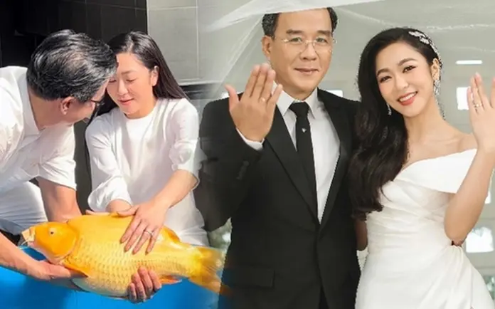 Một đàn cá Koi với màu sắc rực rỡ trong hồ