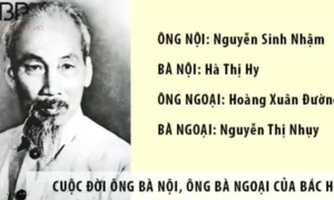 ong-noi-bac-ho-la-ai-kham-pha-than-the-va-su-nghiep_728